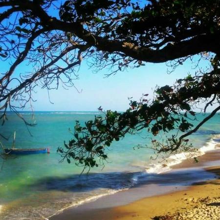 CAPOTOUR - ILHA DE ITAPARICA| TICKET